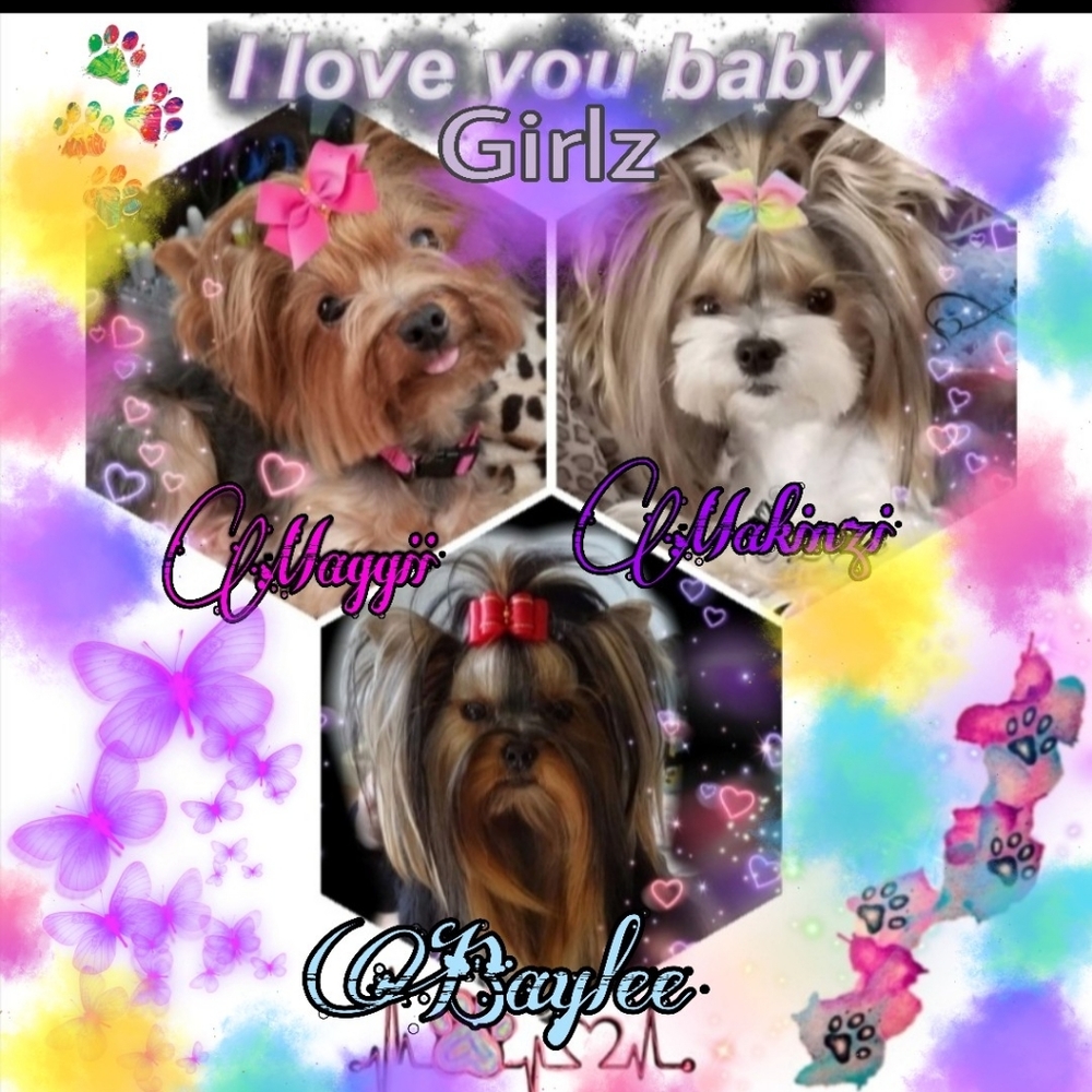 These r my baby girlz ,Maggii Makinzi&Baylee